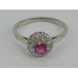 A platinum and 18ct white gold ruby and diamond ring, central ruby approx 0.