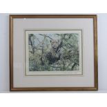 A limited edition print, Leopard in tree, No161/1250 signed by the artist Simon (indistinct).