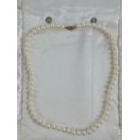 A string of individually knotted cultured freshwater pearls having 9ct gold clasp with single
