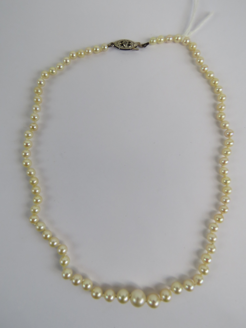 A single strand cultured pearl necklace