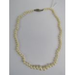 A single strand cultured pearl necklace