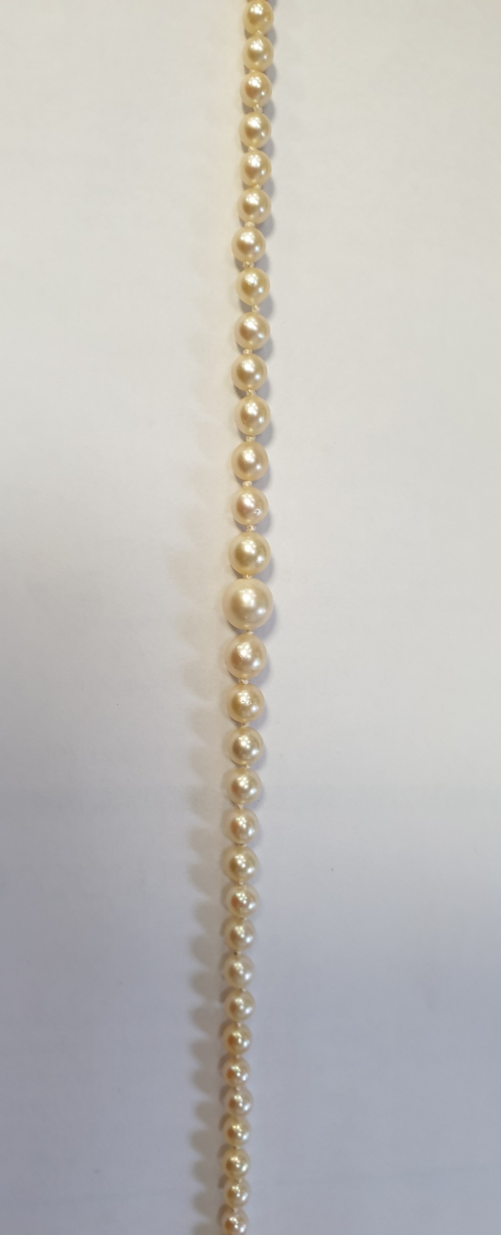 A single strand cultured pearl necklace - Image 4 of 5