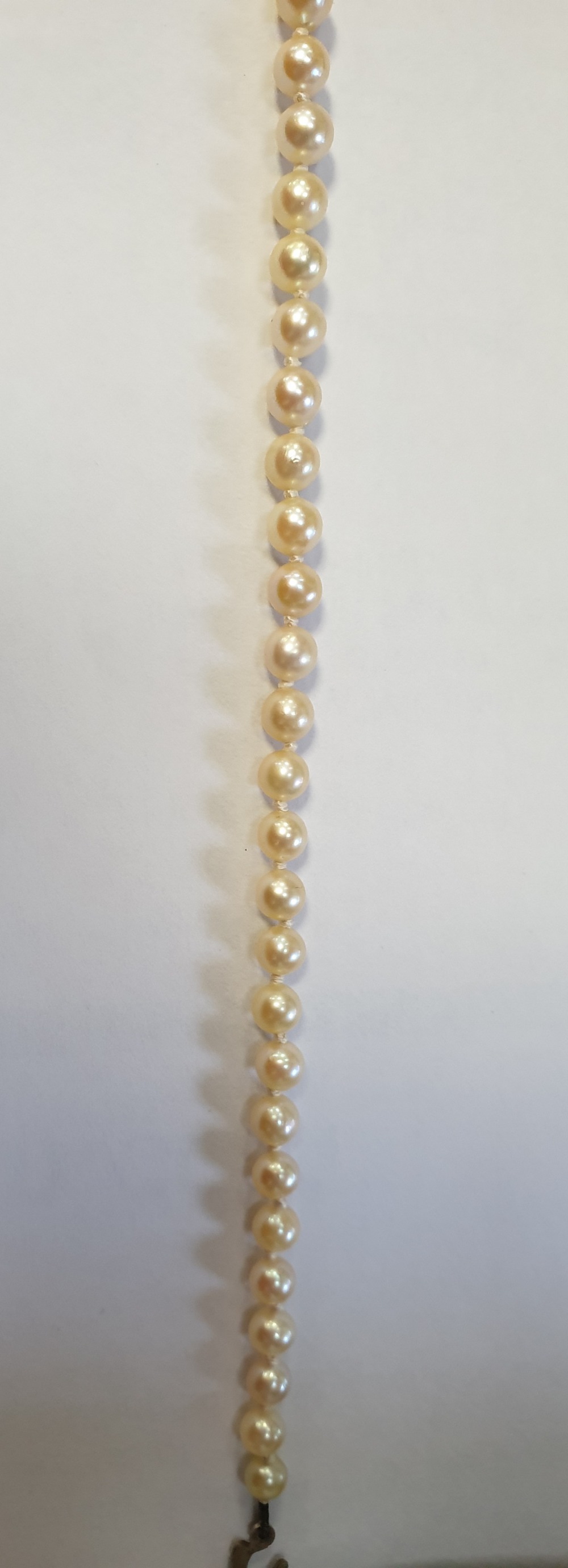 A single strand cultured pearl necklace - Image 5 of 5