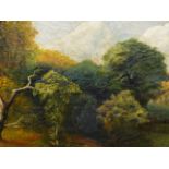 19th.C.ENGLISH SCHOOL. WOODED LANDSCAPE, OIL ON CANVAS FRAMED. 33 x 42cms.