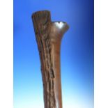 A FIJIAN HARDWOOD SAIL CLUB WITH INCISED DECORATED GRIP. L.98cms.