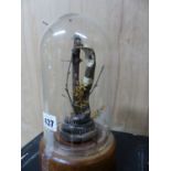 TAXIDERMY. AN ANTIQUE MOUNTED COBRA ENTWINED ON BRANCH UNDER LATER GLASS DOME.