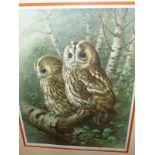 AFTER RAYMOND WATSON. (20THC.) ARR. THE TAWNY OWL, PENCIL SIGNED COLOUR PRINT. 46.5 x 35.5cms.