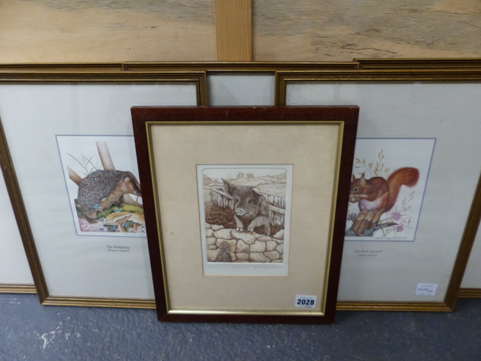 A GROUP OF SIX PENCIL SIGNED 20th.C.COLOUR PRINTS OF VARIOUS ANIMALS. LARGEST 18 x 12.5cms. (6)