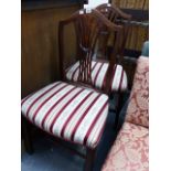 A PAIR OF GEORGIAN SIDE CHAIRS WITH UNUSUAL CARVED BACK SPLAT.