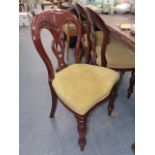 A SET OF SIX VICTORIAN STYLE BALLOON BACK DINING CHAIRS.