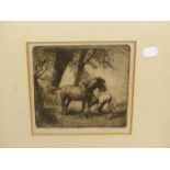 ANTON LOCK. (1893-1970) ARR. THREE PENCIL SIGNED ETCHINGS OF HORSES, VARIOUS SIZES, LARGEST 20 x