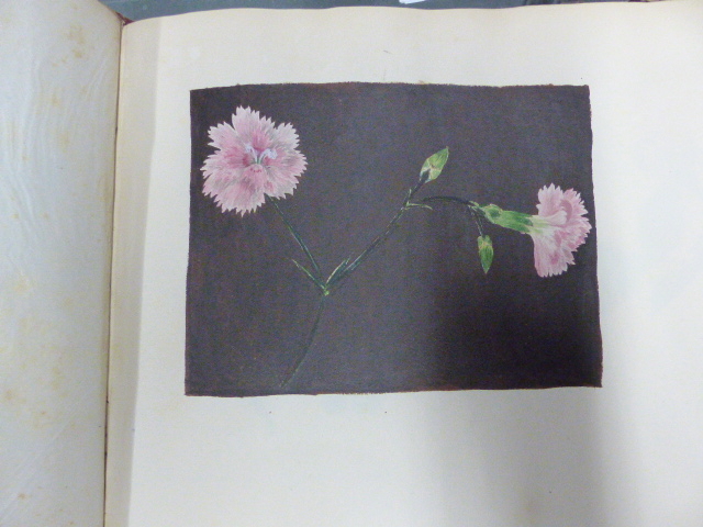 AN ALBUM CONTAINING FOURTEEN BOTANICAL WATERCOLOURS DATED 1819/20. 23.5 x 33.5cms. - Image 5 of 12