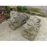 A PAIR OF WEATHERED COMPOSITE STONE LION FIGURES.