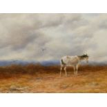 PETER DEAKIN. 19th.C.ENGLISH SCHOOL. ARR. OUT IN THE WIND, SIGNED WATERCOLOUR. 37 x 68cms.