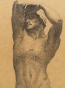 AFTER W.GOSSCOMBE JOHN. (1860-1940) ARR. MALE TORSO, A SIGNED LITHOGRAPH. 38 x 21cms.