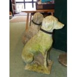 A PAIR OF WEATHERED LIFE SIZE GARDEN FIGURES OF SEATED DOGS.