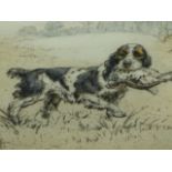 HENRY WILKINSON. (1921-2011) ARR. A RETRIEVER, PENCIL SIGNED COLOUR ETCHING. 24 x 31.5cms.