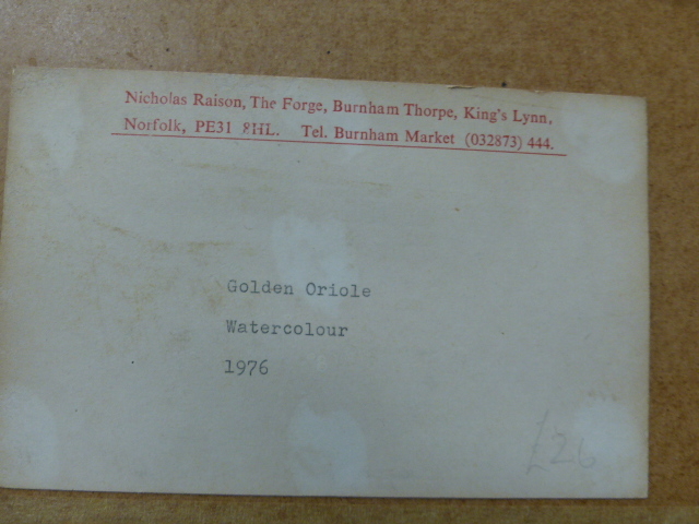 NICHOLAS RAISIN. 20th.C.ENGLISH SCHOOL. ARR. TWO ORNITHOLOGICAL STUDIES, A PARTIDGE AND A GOLDEN - Image 4 of 8