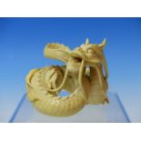 A JAPANESE IVORY OF A COILED AND ROARING DRAGON. W.7.5cms.