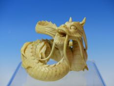 A JAPANESE IVORY OF A COILED AND ROARING DRAGON. W.7.5cms.