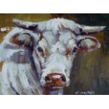 20th.C.SCHOOL. TWO PORTRAITS OF CATTLE, SIGNED INDISTINCTLY, OIL ON CANVAS. 51 x 61cms. (2)