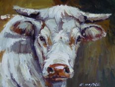 20th.C.SCHOOL. TWO PORTRAITS OF CATTLE, SIGNED INDISTINCTLY, OIL ON CANVAS. 51 x 61cms. (2)