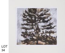 Title –Conifer Tree