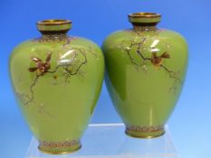 MANNER OF HAYASHI KODENJI, A PAIR OF GREEN GROUND JAPANESE CLOISONNE VASES, THE OVOID BODIES