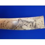 TWO PIECES OF SCRIMSHAW, A TOOTH SCRATCH CARVED WITH THE BARK FAIRWEATHER. W 11.5cms. AND A RIB BONE