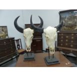 A PAIR OF WILDEBEEST SKULLS MOUNTED ON TWIN COLUMNS ON STEPPED SQUARE PLINTHS. H 92cms.