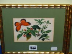 A SET OF FOUR CHINESE RICE PAPER PAINTINGS OF BUTTERFLIES AND FLOWERS WITHIN GILT FAUX BAMBOO
