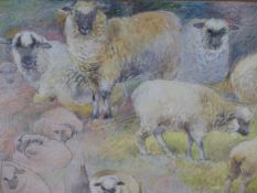 CHARLES HENRY CLIFFORD BALDWYN. (1859-1943) A STUDY OF SHEEP, INK, CRAYON AND WATERCOLOUR., WITHIN