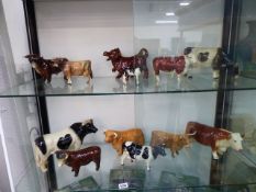 A QTY OF BESWICK AND OTHER COW FIGURES.