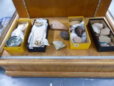 A SMALL COLLECTION OF ARCHAEOLOGICAL POTTERY FINDS,ETC.