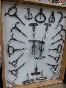 A VINTAGE CORKSCREW DISPLAY.