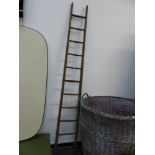 A FRUIT PICKING LADDER.