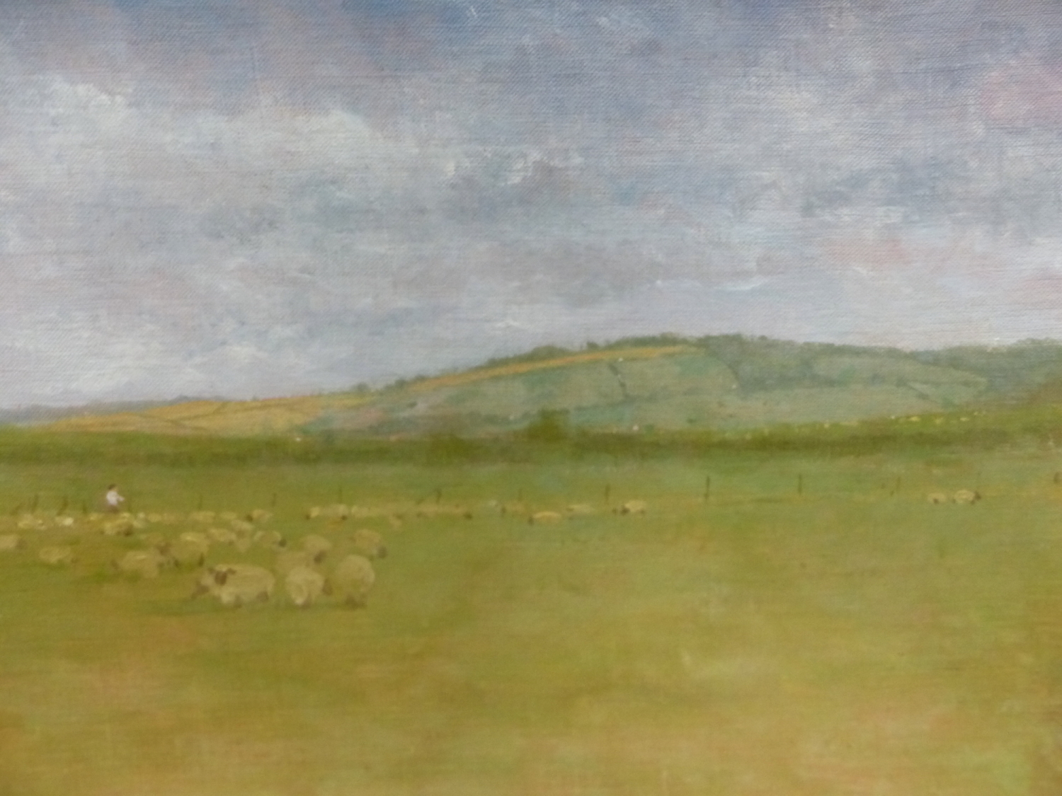 PETER JAMIESON. ENGLISH 20th/21st.C. ARR. SHEEP IN A FIELD, SIGNED AND DATED 1981, OIL ON BOARD. - Image 12 of 13