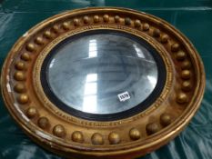 A 19th.C.CONVEX WALL MIRROR WITH CIRCULAR BALL DECORATED GILT FRAME. Dia.61cms, PLATE 38cms.