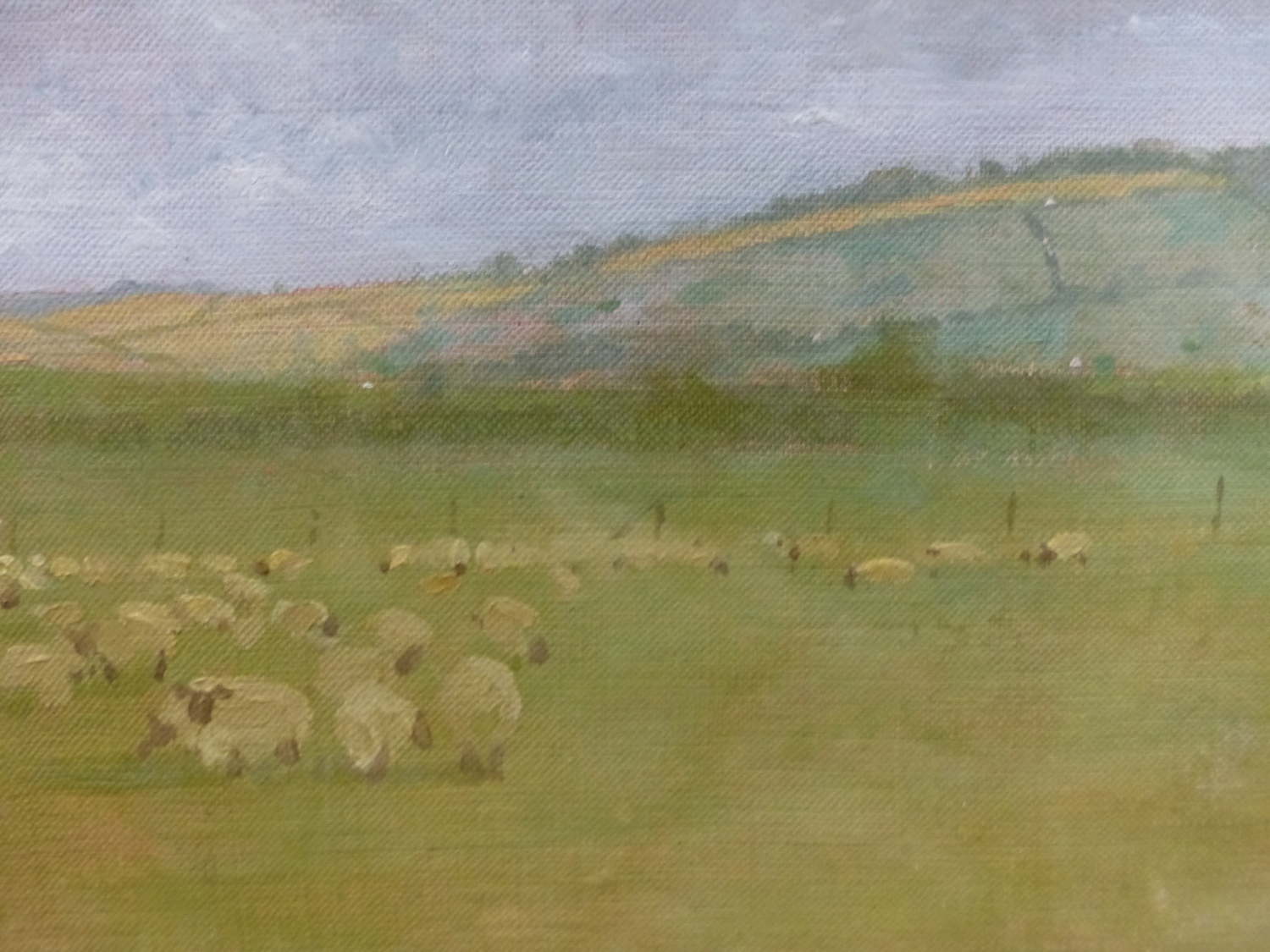 PETER JAMIESON. ENGLISH 20th/21st.C. ARR. SHEEP IN A FIELD, SIGNED AND DATED 1981, OIL ON BOARD. - Image 10 of 13