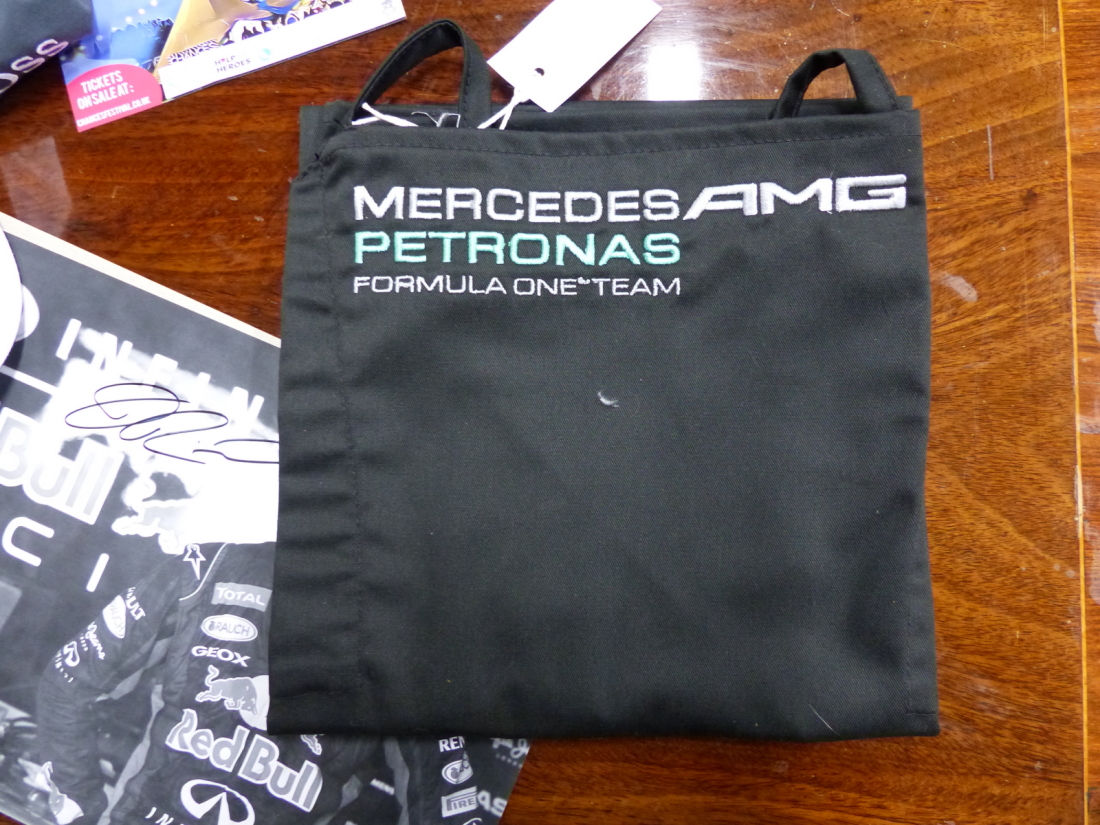 A COLLECTION OF PROGRAMMES AND CLOTHING SIGNED BY LEWIS HAMILTON, NELSON PIQUET, MARK WEBBER AND - Image 5 of 12