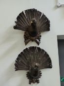 TWO SIMILARLY SHIELD MOUNTED CAPERCAILLIES, THE HANS WUTTE PREPARED EXAMPLE INSCRIBED BODENTAL