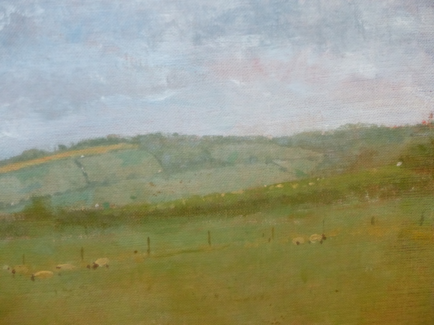 PETER JAMIESON. ENGLISH 20th/21st.C. ARR. SHEEP IN A FIELD, SIGNED AND DATED 1981, OIL ON BOARD. - Image 11 of 13