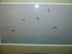 JOHN REANEY. ENGLISH 20th/21st.C. ARR. AN ORNITHOLOGICAL STUDY OF TWO BIRDS, SIGNED AND DATED