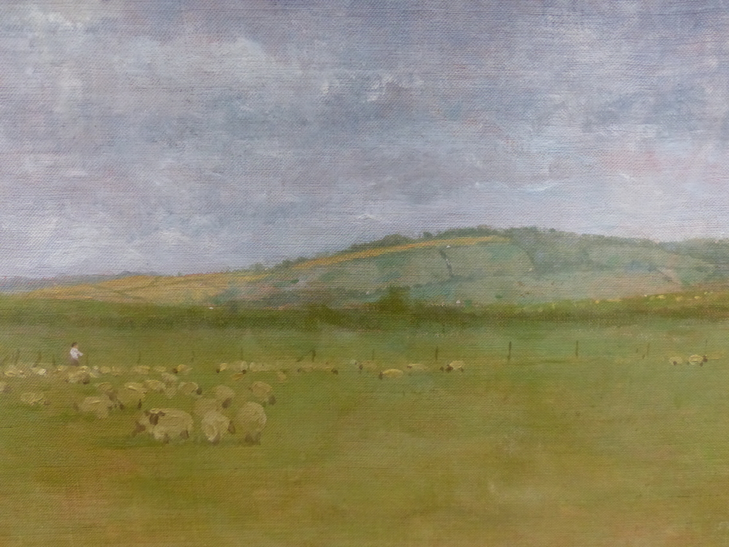 PETER JAMIESON. ENGLISH 20th/21st.C. ARR. SHEEP IN A FIELD, SIGNED AND DATED 1981, OIL ON BOARD. - Image 8 of 13