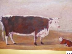 ENGLISH NAIVE SCHOOL. A COW AND CALF, OIL ON CANVAS. 20 x 30.5cms.