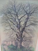 ADRIAN HILL. (1895-1977) ARR. THE MIGHTY OAK, SIGNED WATERCOLOUR. 36 x 24.5cms.