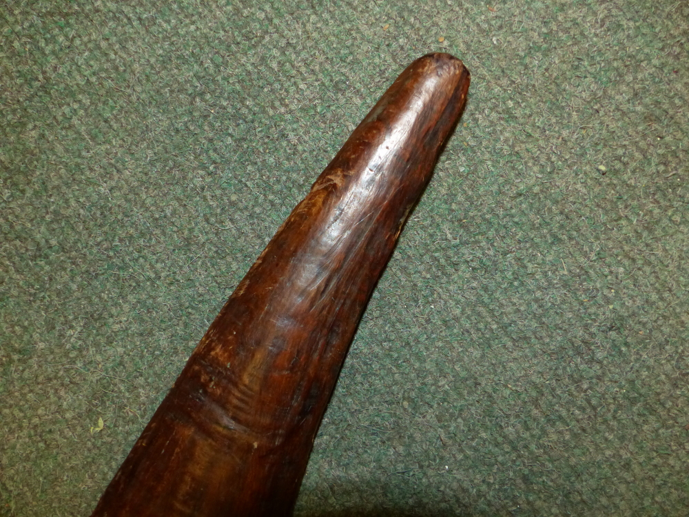 AN ABORIGINAL CLUB, THE LAPPET CARVED HANDLE WITH PINE CONE POMMEL, THE HEAD AT RIGHT ANGLES TO - Image 5 of 22