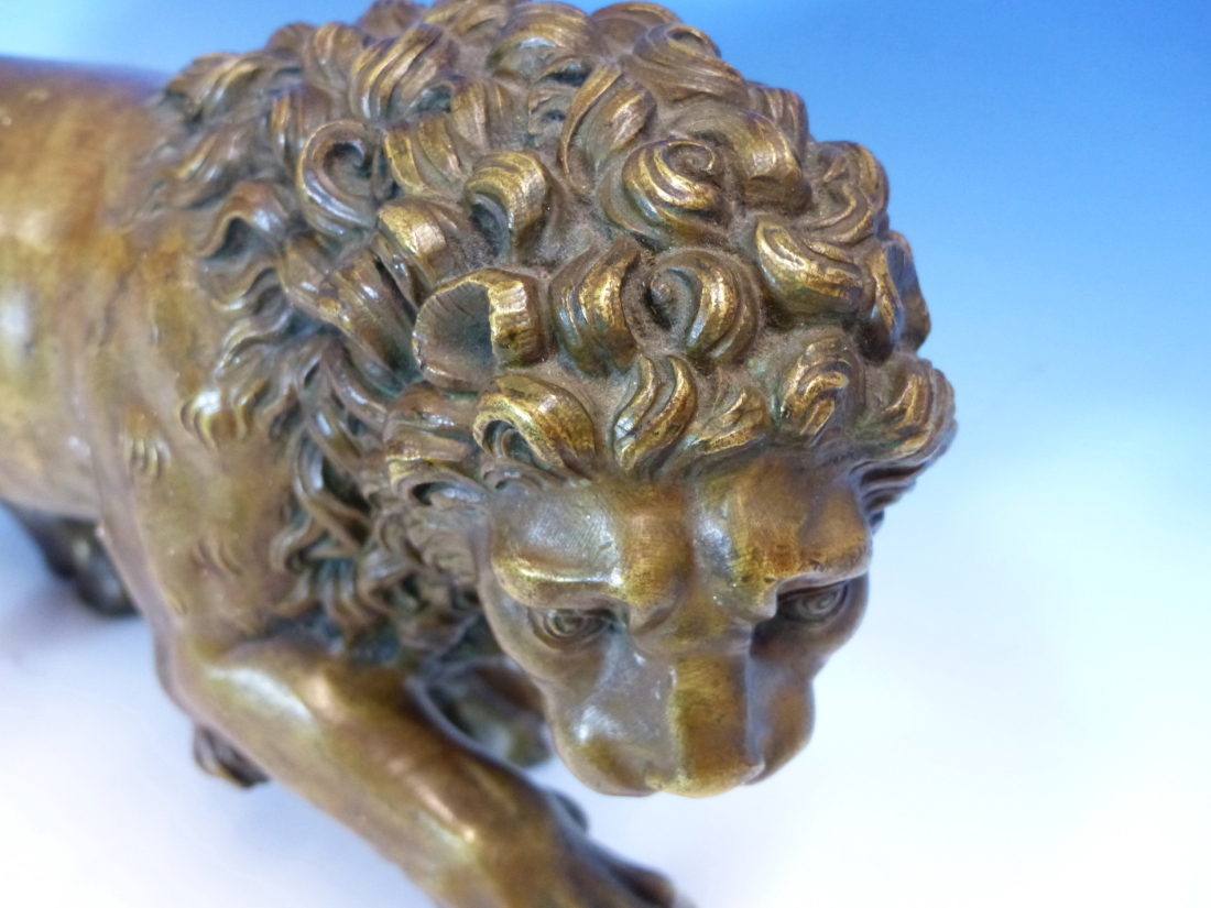 AFTER THE MEDICI LION, A BRONZE FIGURE GROWLING AND WITH RIGHT FOREPAW RAISED ON A BALL. W 35cms. - Image 4 of 5