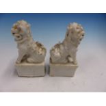 A PAIR OF BLANC DE CHINESE SEATED BUDDHIST LION JOSS STICK HOLDERS. H 13.5cms.