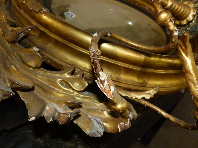 AN EARLY 19th.C.CARVED GILTWOOD CONVEX MIRROR WITH ENTWINED DOLPHIN CREST AND FLANKING PAIRS OF - Image 5 of 19